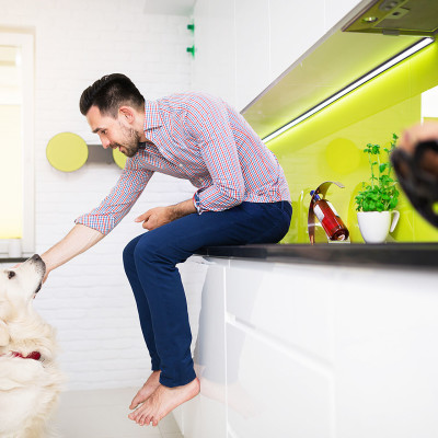 kueche-hund-katze-kuechenwelt-erleben